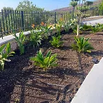 Сasa de vacaciones Aryve Townhouse Rhodos Mit Akropolis- Und Meerblick Sowie Jacuzzi Und Tollen Sonnenterrassen Und Garten